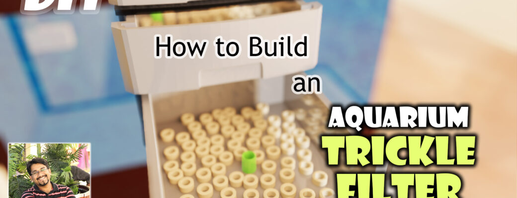 How to Build an Aquarium Trickle Filter - DIY